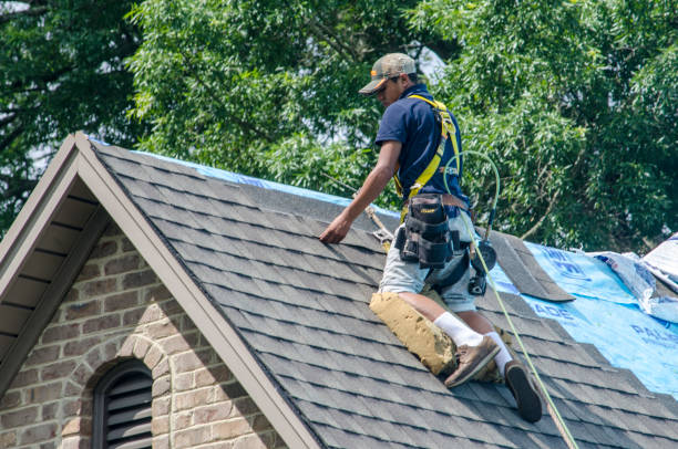 Trusted Avon, MN Roofing Contractor Experts